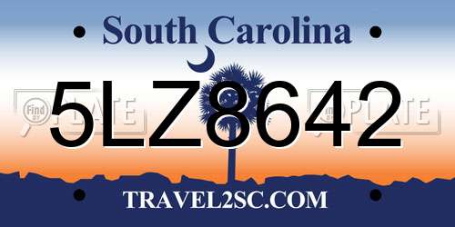 5LZ8642 South Carolina License Plate