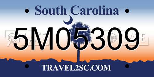 5M05309 South Carolina License Plate