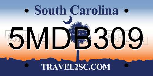 5MDB309 South Carolina License Plate