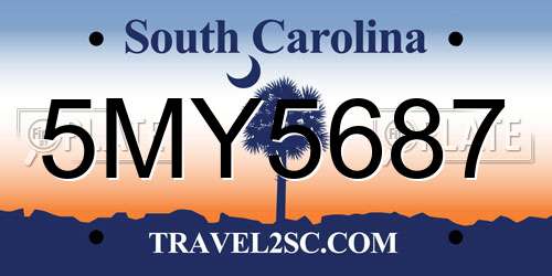5MY5687 South Carolina License Plate