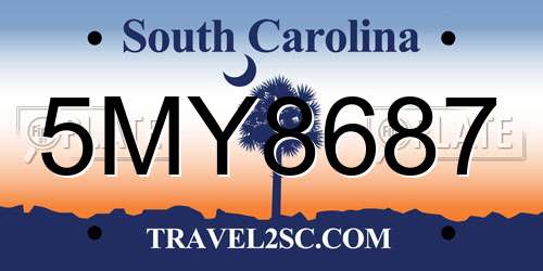 5MY8687 South Carolina License Plate