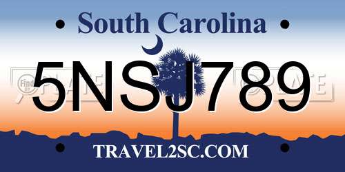 5NSJ789 South Carolina License Plate