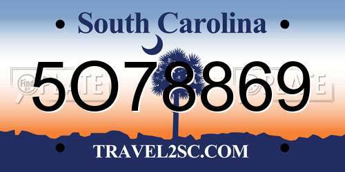 5O78869 South Carolina License Plate