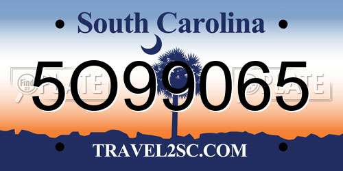 5O99065 South Carolina License Plate