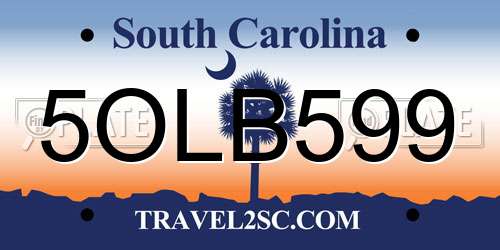 5OLB599 South Carolina License Plate