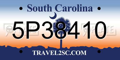 5P38410 South Carolina License Plate