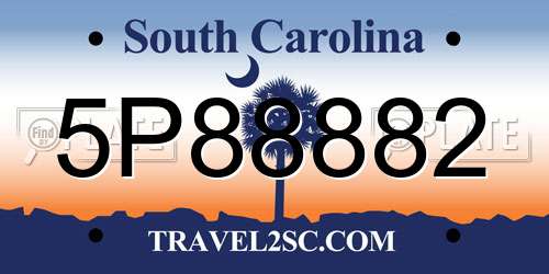 5P88882 South Carolina License Plate