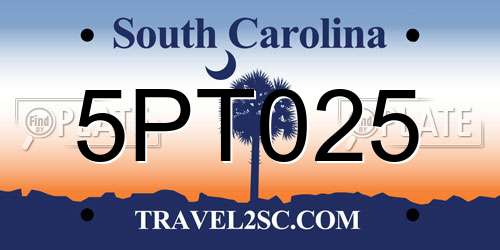 5PT025 South Carolina License Plate