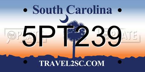 5PT239 South Carolina License Plate