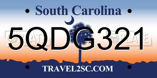 5QDG321 South Carolina License Plate