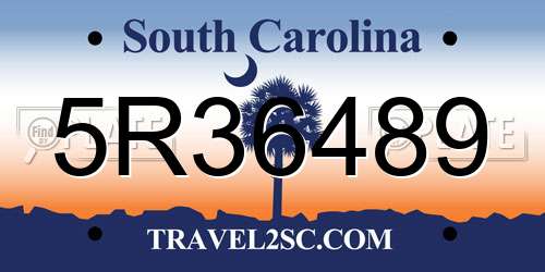 5R36489 South Carolina License Plate