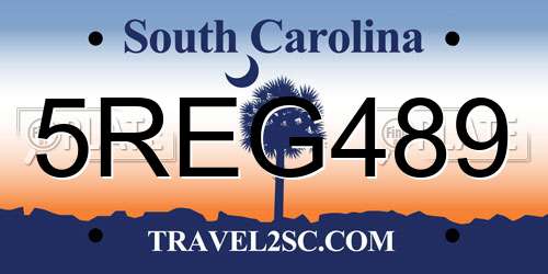 5REG489 South Carolina License Plate