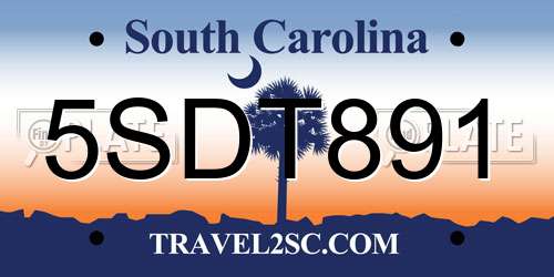 5SDT891 South Carolina License Plate