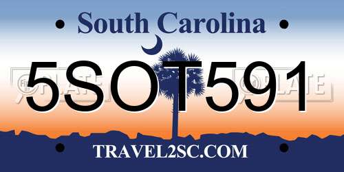 5SOT591 South Carolina License Plate