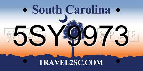 5SY9973 South Carolina License Plate