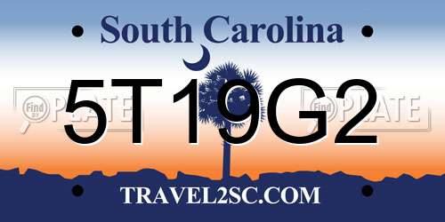 5T19G2 South Carolina License Plate