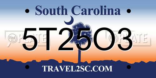 5T25O3 South Carolina License Plate