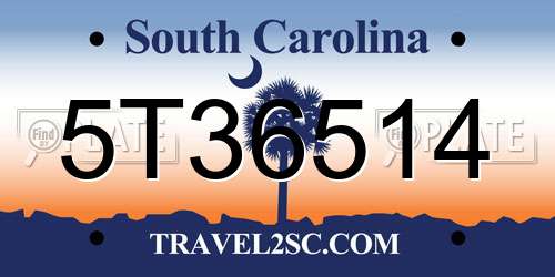 5T36514 South Carolina License Plate