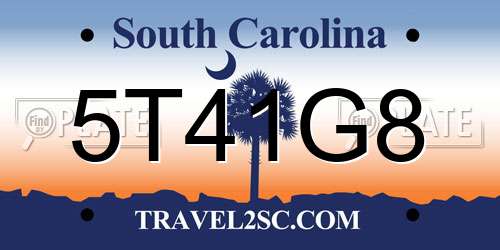 5T41G8 South Carolina License Plate
