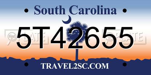 5T42655 South Carolina License Plate