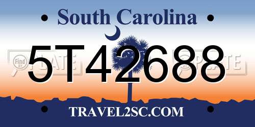 5T42688 South Carolina License Plate