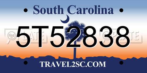 5T52838 South Carolina License Plate