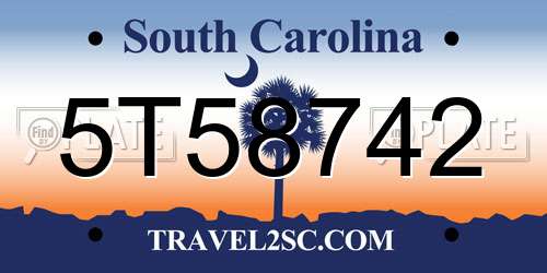 5T58742 South Carolina License Plate