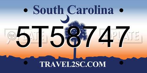 5T58747 South Carolina License Plate