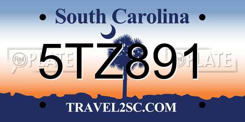 5TZ891 South Carolina License Plate