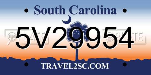 5V29954 South Carolina License Plate