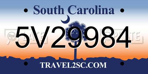 5V29984 South Carolina License Plate