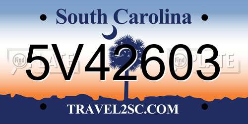 5V42603 South Carolina License Plate
