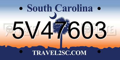5V47603 South Carolina License Plate