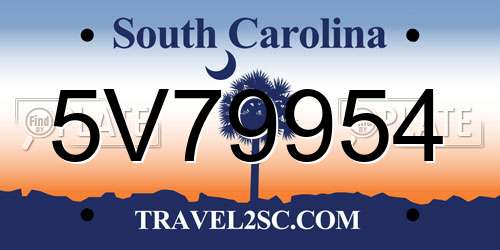 5V79954 South Carolina License Plate