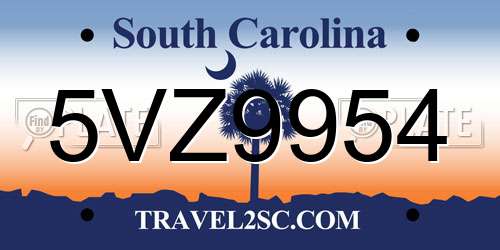 5VZ9954 South Carolina License Plate