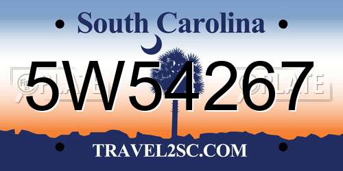 5W54267 South Carolina License Plate