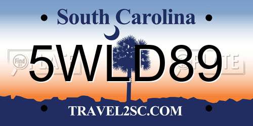 5WLD89 South Carolina License Plate