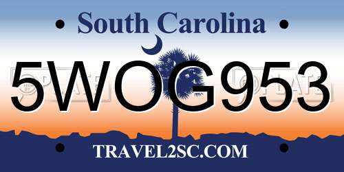 5WOG953 South Carolina License Plate