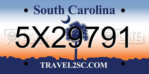 5X29791 South Carolina License Plate
