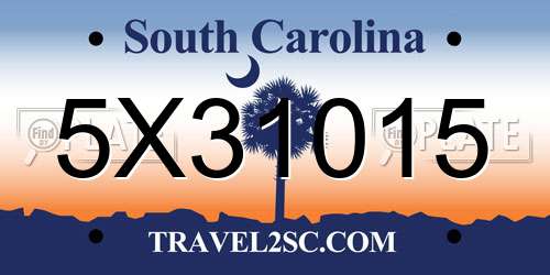 5X31015 South Carolina License Plate