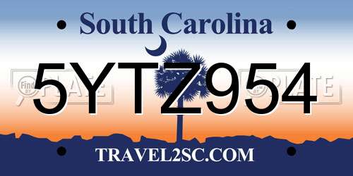 5YTZ954 South Carolina License Plate