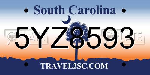5YZ8593 South Carolina License Plate