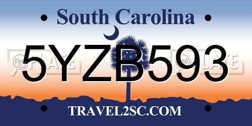 5YZB593 South Carolina License Plate