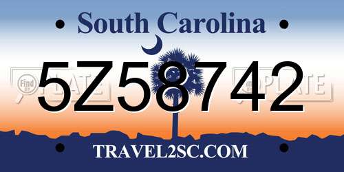 5Z58742 South Carolina License Plate