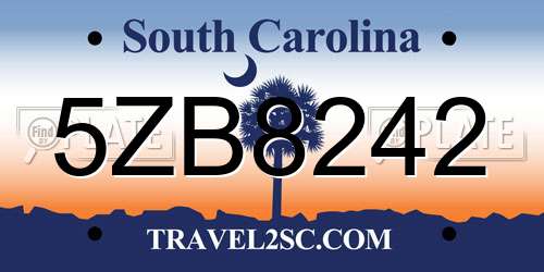5ZB8242 South Carolina License Plate