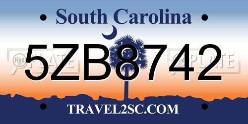 5ZB8742 South Carolina License Plate