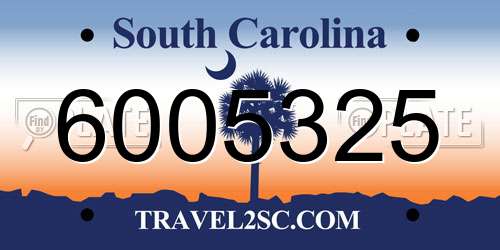 6005325 South Carolina License Plate