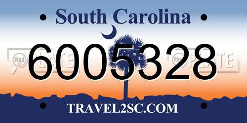 6005328 South Carolina License Plate