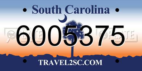 6005375 South Carolina License Plate
