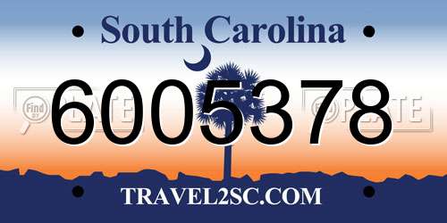 6005378 South Carolina License Plate